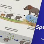 Speciering: The Key to Understanding Evolution and Biodiversity